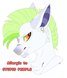 Size: 3000x3468 | Tagged: safe, artist:melodytheartpony, derpibooru import, oc, unofficial characters only, earth pony, angry, art trade, bat ears, big teeth, donut steel, edgy, grumpy, image, jaundice, male, nose piercing, nose ring, piercing, png, scar, torn ear, yellow sclera