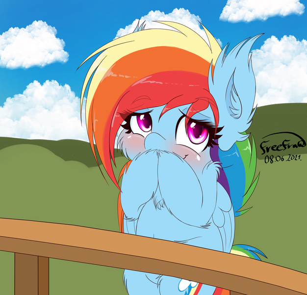 Size: 3649x3499 | Tagged: safe, artist:freefraq, derpibooru import, rainbow dash, pegasus, pony, bipedal, blushing, cheek fluff, chest fluff, cute, dashabetes, ear fluff, female, fence, fluffy, happy, image, looking at you, mare, png, simple background, smiling, solo, weapons-grade cute