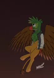 Size: 6814x9834 | Tagged: safe, artist:summerium, derpibooru import, oc, oc:kalimu, unofficial characters only, gryphon, absurd file size, absurd resolution, beak, clothes, flying, griffon oc, image, looking up, male, night, night sky, png, sky, smiling, solo, talons, wings