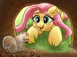 Size: 1890x1417 | Tagged: safe, artist:dandy, derpibooru import, fluttershy, pegasus, pony, squirrel, acorn, blushing, cute, duo, female, heart eyes, image, looking at each other, mare, newbie artist training grounds, open mouth, open smile, png, smiling, smiling at each other, solo, wingding eyes