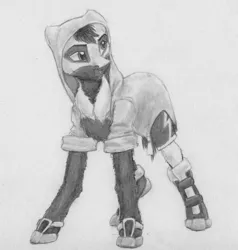 Size: 2332x2448 | Tagged: safe, artist:joestick, derpibooru import, oc, oc:kass, unofficial characters only, earth pony, pony, clothes, coat markings, hoodie, image, jpeg, male, monochrome, pencil drawing, shoes, traditional art