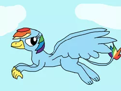 Size: 1000x750 | Tagged: safe, artist:blazewing, derpibooru import, rainbow dash, gryphon, atg 2021, cloud, drawpile, female, flying, griffonized, image, newbie artist training grounds, png, sky, smiling, solo, species swap
