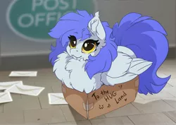 Size: 3507x2481 | Tagged: safe, artist:arctic-fox, derpibooru import, oc, oc:gabriel, unofficial characters only, pegasus, pony, box, chest fluff, cute, cute little fangs, ear fluff, fangs, image, jpeg, pony in a box, solo