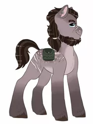 Size: 1393x1848 | Tagged: safe, artist:moccabliss, derpibooru import, oc, pony, image, magical gay spawn, male, offspring, parent:big macintosh, parent:rockhoof, parents:rockmac, png, scar, simple background, solo, stallion, unshorn fetlocks, white background