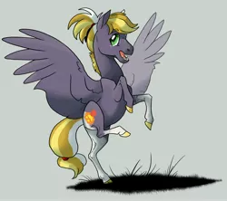 Size: 5738x5091 | Tagged: safe, artist:sandieapple, derpibooru import, oc, oc:fall harvest, pegasus, pony, absurd resolution, female, filly, freckles, gray background, image, jpeg, magical lesbian spawn, offspring, parent:applejack, parent:inky rose, parents:inkyapple, rearing, simple background, solo, spread wings, standing, standing on one leg, wings