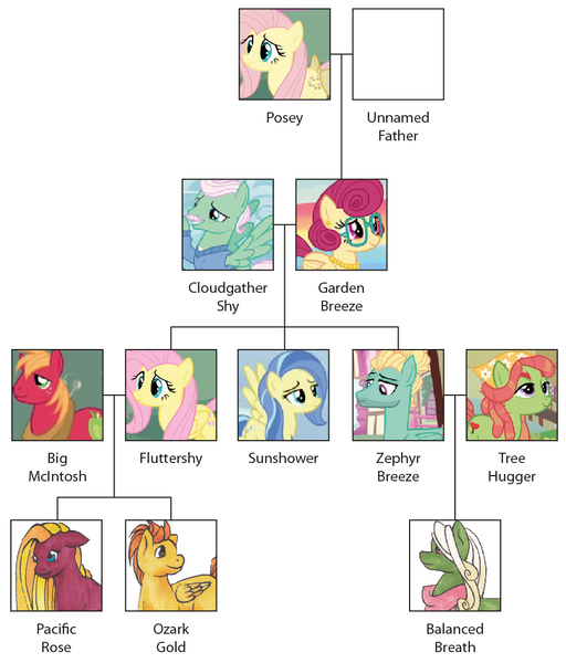 Size: 934x1094 | Tagged: safe, artist:takara-phoenix, derpibooru import, big macintosh, fluttershy, gentle breeze, posey, posey shy, sunshower, tree hugger, zephyr breeze, oc, oc:balanced breath, oc:ozark gold, oc:pacific rose, earth pony, pegasus, pony, g1, alternate name, cousins, family, family tree, female, fluttermac, g1 to g4, generation leap, image, jpeg, male, mare, offspring, parent:big macintosh, parent:fluttershy, parent:tree hugger, parent:zephyr breeze, parents:fluttermac, parents:zephyrhugger, shipping, shys, siblings, simple background, stallion, straight, white background, zephyrhugger