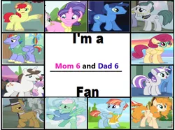 Size: 862x641 | Tagged: safe, derpibooru import, bow hothoof, bright mac, cloudy quartz, cookie crumbles, gentle breeze, hondo flanks, igneous rock pie, night light, pear butter, posey shy, twilight velvet, windy whistles, dad six, image, meme, mom six, png