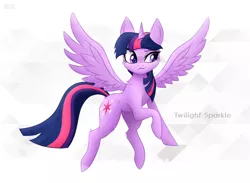 Size: 1600x1174 | Tagged: safe, artist:nightfury2020, derpibooru import, twilight sparkle, twilight sparkle (alicorn), alicorn, pony, >:3, abstract background, female, image, mare, png, solo, spread wings, wings