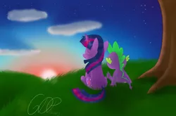 Size: 1280x844 | Tagged: safe, artist:6dpegasus, derpibooru import, spike, twilight sparkle, dragon, pony, unicorn, calm, cloud, eyes closed, female, field, image, jpeg, relaxed, sitting, stars, sun, sunset