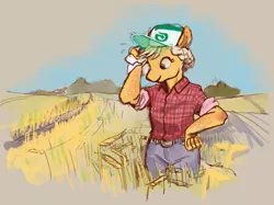 Size: 1216x908 | Tagged: safe, artist:spectralunicorn, derpibooru import, applejack, anthro, baseball cap, cap, clothes, farmer, field, flannel shirt, hat, image, jeans, pants, png, rolled up sleeves