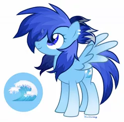 Size: 1280x1254 | Tagged: safe, artist:kaitomy, derpibooru import, oc, oc:ocean tide, unofficial characters only, pegasus, pony, image, jpeg, oda 997, pegasus oc, reference, solo, wings
