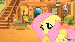 Size: 1280x720 | Tagged: safe, derpibooru import, fluttershy, cute, floppy ears, fluttershy's cottage, hot minute, hot topic, hub logo, image, interview, looking at you, png, shy, shyabetes, solo