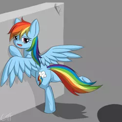 Size: 1000x1000 | Tagged: safe, artist:giftry365, derpibooru import, rainbow dash, pegasus, pony, against wall, female, image, jpeg, looking back, mare, scared, shadow, solo, teary eyes, wall