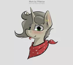 Size: 2700x2400 | Tagged: safe, artist:phlerius, derpibooru import, oc, pony, digital art, image, my little pony, png, solo