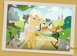 Size: 651x479 | Tagged: safe, derpibooru import, screencap, goldie delicious, cat, earth pony, pony, siamese cat, every little thing she does, bench, female, goldie delicious' cats, lil bub, mare, photo, picture, shawl, solo, too many cats