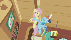 Size: 854x480 | Tagged: animated, cropped, derpibooru import, duo, floating, fluttershy, fluttershy's cottage, hat, hurricane fluttershy, nervous, rainbow dash, safe, screencap