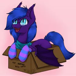 Size: 3072x3072 | Tagged: safe, artist:zackwhitefang, derpibooru import, oc, unofficial characters only, bat pony, pony, bat pony oc, bat wings, behaving like a cat, box, clothes, commission, cute, cute little fangs, digital art, fangs, female, glasses, hooves, if i fits i sits, image, jpeg, mare, open mouth, pony in a box, scarf, socks, solo, spread wings, striped socks, tail, wings