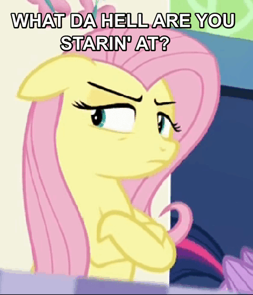 Size: 834x972 | Tagged: safe, derpibooru import, screencap, fluttershy, pony, duckman, female, solo