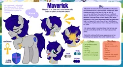 Size: 1200x655 | Tagged: safe, artist:jennieoo, derpibooru import, oc, oc:maverick, earth pony, pony, bio, image, male, man, png, ponytail, reference, reference sheet, simple background, smiling, smug, solo, stallion, vector