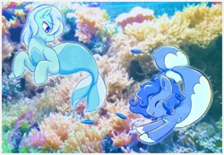 Size: 1000x692 | Tagged: safe, artist:raininess, derpibooru import, oc, unofficial characters only, merpony, seapony (g4), blue eyes, blue mane, coral, crepuscular rays, eyes closed, fish tail, flowing tail, image, jpeg, looking at each other, open mouth, photo, smiling, swimming, tail, underwater, unshorn fetlocks, water