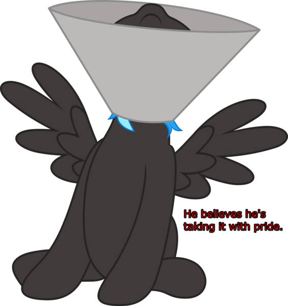 Size: 3619x3849 | Tagged: safe, artist:waveywaves, derpibooru import, oc, oc:nimbus, unofficial characters only, pegasus, elizabethan collar, image, png, simple background, solo, spread wings, text, transparent background, wings