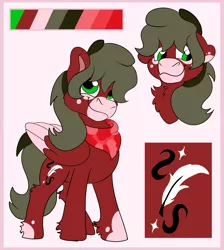 Size: 1700x1900 | Tagged: safe, artist:euspuche, derpibooru import, oc, oc:naiv nein, unofficial characters only, pegasus, image, looking at you, male, png, reference sheet, shy, smiling
