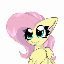 Size: 2362x2362 | Tagged: safe, artist:jubyskylines, derpibooru import, fluttershy, pegasus, pony, :p, bust, cheek fluff, chest fluff, cute, ear fluff, female, high res, image, jpeg, mare, shyabetes, simple background, solo, tongue out, white background