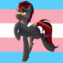 Size: 4000x4000 | Tagged: safe, artist:dicemarensfw, derpibooru import, oc, oc:dicemare, pegasus, pony, crying, fangs, freckles, happy, hoof on chest, image, lighting, looking up, male, piercing, png, pride, pride flag, solo, stallion, trans male, transgender, transgender pride flag, wings