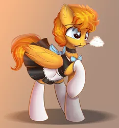 Size: 2083x2237 | Tagged: safe, artist:janelearts, derpibooru import, oc, pegasus, pony, clothes, crossdressing, duster, image, maid, male, mouth hold, png, socks, solo, stallion, stockings, thigh highs