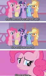 Size: 558x916 | Tagged: safe, derpibooru import, edit, screencap, applejack, fluttershy, pinkie pie, rainbow dash, twilight sparkle, earth pony, pegasus, pony, unicorn, suited for success, caption, crazy cat lady, funny, give her time, image, image macro, jpeg, text