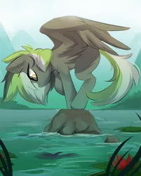 Size: 2648x3300 | Tagged: safe, artist:beardie, derpibooru import, oc, oc:graphite sketch, unofficial characters only, pegasus, cute, image, lake, looking down, png, water