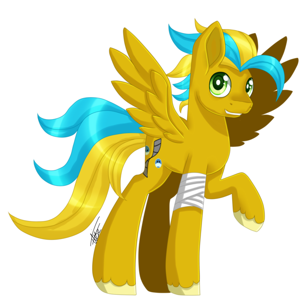 Size: 2323x2317 | Tagged: safe, artist:inspiredpixels, derpibooru import, oc, unofficial characters only, pegasus, pony, bandage, image, male, png, raised hoof, signature, simple background, solo, spread wings, stallion, standing, transparent background, unshorn fetlocks, wings