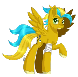 Size: 2323x2317 | Tagged: safe, artist:inspiredpixels, derpibooru import, oc, unofficial characters only, pegasus, pony, bandage, image, male, png, raised hoof, signature, simple background, solo, spread wings, stallion, standing, transparent background, unshorn fetlocks, wings