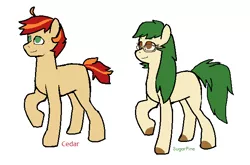 Size: 650x429 | Tagged: safe, artist:kaciekk, derpibooru import, oc, oc:cedar, oc:sugar pine, earth pony, earth pony oc, glasses, image, looking up, png, simple background, white background