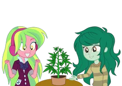 Size: 1123x794 | Tagged: safe, artist:cinder vel, derpibooru import, lemon zest, wallflower blush, drugs, image, marijuana, png, pot, show accurate