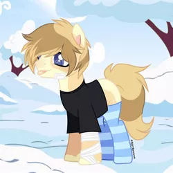 Size: 1080x1080 | Tagged: safe, alternate version, artist:fluffponee, derpibooru import, oc, unofficial characters only, earth pony, pony, :p, bandaid, clothes, earth pony oc, image, jpeg, male, outdoors, signature, snow, socks, stallion, striped socks, tongue out, tree