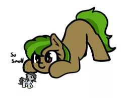 Size: 499x391 | Tagged: safe, artist:neuro, oc, oc:peep, oc:poison oak, unofficial characters only, bird, bird pone, earth pony, pigeon, pony, dialogue, earth pony oc, face down ass up, female, image, mare, micro, png, simple background, sparkly eyes, white background