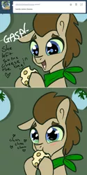 Size: 650x1302 | Tagged: safe, artist:toadstool-prancer, derpibooru import, doctor whooves, time turner, oc, oc:tantamount, earth pony, pony, cheese, disguise, disguised changeling, food, image, png, solo, tantamount time turner