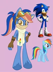 Size: 1509x2048 | Tagged: safe, derpibooru import, rainbow dash, oc, oc:prismatic fast the hedgehorse, clothes, crossover, crossover shipping, female, goggles, hand on hip, image, jpeg, male, parents:sonicdash, pink background, scarf, shipping, simple background, sonicdash, sonic the hedgehog, sonic the hedgehog (series), straight