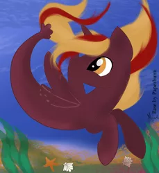 Size: 1280x1398 | Tagged: safe, artist:mezairplush, derpibooru import, oc, unofficial characters only, alicorn, pony, seapony (g4), starfish, base used, crepuscular rays, fin wings, fish tail, flowing mane, flowing tail, horn, image, jpeg, looking up, male, ocean, orange eyes, seaponified, seashell, seaweed, signature, smiling, solo, species swap, stallion, swimming, tail, underwater, water, wings