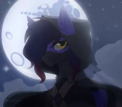 Size: 3500x3070 | Tagged: safe, artist:sinner_png, derpibooru import, oc, oc:shadowsneak, unofficial characters only, pegasus, pony, assassin, cloak, clothes, ear fluff, image, mare in the moon, moon, moonlight, night, png, solo, starry night, stars