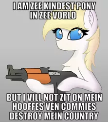 Size: 1600x1800 | Tagged: artist needed, safe, oc, oc:aryanne, unofficial characters only, earth pony, pony, art pack:marenheit 451, /mlp/, accent, chest fluff, ear fluff, earth pony oc, eye clipping through hair, female, gray background, gun, image, mare, nazi, png, rifle, simple background, solo, text, weapon