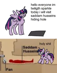 Size: 656x838 | Tagged: safe, artist:quiqyquiq, derpibooru import, twilight sparkle, image, meme, missing cutie mark, png, saddam hussein, saddam hussein's hiding place, text, vulgar