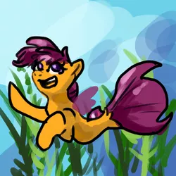 Size: 1280x1280 | Tagged: safe, artist:flurryheart04, derpibooru import, scootaloo, pegasus, pony, seapony (g4), surf and/or turf, crepuscular rays, dorsal fin, female, fin wings, fish tail, flowing tail, image, jpeg, ocean, open mouth, purple eyes, purple mane, seaponified, seapony scootaloo, seaweed, smiling, solo, species swap, sunlight, swimming, tail, teeth, underwater, water, wings
