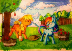 Size: 3185x2257 | Tagged: safe, artist:theorderofalisikus, derpibooru import, applejack, rainbow dash, earth pony, pegasus, pony, apple, apple tree, bandaged leg, basket, bucking, cloud, crosshatching, duo, duo female, eye clipping through hair, eyebrows, eyebrows visible through hair, female, food, grass, hat, high res, image, jpeg, mare, marker drawing, open mouth, open smile, shading, sky, smiling, spread wings, standing, traditional art, tree, wings