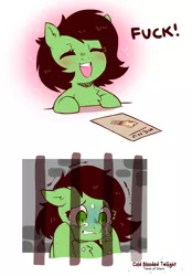 Size: 836x1200 | Tagged: safe, artist:cold-blooded-twilight, derpibooru import, oc, oc:anonfilly, pony, 2 panel comic, blushing, chest fluff, comic, crying, curse, eyes closed, female, filly, floppy ears, fuck, image, menu, open mouth, png, prison, scared, vulgar