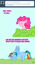 Size: 654x1200 | Tagged: safe, artist:askpinkiepieandfriends, derpibooru import, pinkie pie, rainbow dash, earth pony, pegasus, pony, ask, image, implied lesbian, implied pinkiedash, implied shipping, missing cutie mark, png, stretching, tumblr, voyeurism