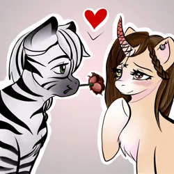 Size: 700x700 | Tagged: safe, artist:ichigokres, derpibooru import, kirin oc, oc, oc:auora, oc:palatinatus clypeus, unofficial characters only, kirin, zebra, blushing, curved horn, cute, female, floating heart, flower, flower in mouth, flustered, heart, horn, image, jpeg, kirin hybrid, love, male, mouth hold, multicolored eyes, oc x oc, palora, romantic, rose, rose in mouth, shipping, zebra oc