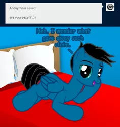 Size: 3946x4184 | Tagged: safe, artist:agkandphotomaker2000, derpibooru import, oc, oc:pony video maker, pegasus, pony, tumblr:pony video maker's blog, anonymous, ask, bed, bedroom, bedroom eyes, dialogue, draw me like one of your french girls, image, looking at you, lying down, pillow, png, show accurate, simple background, solo, tumblr