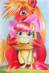 Size: 1393x2047 | Tagged: safe, artist:gommadare15, derpibooru import, apple bloom, big macintosh, earth pony, pony, apple bloom's bow, blushing, bow, brother and sister, female, filly, hair bow, image, jpeg, male, siblings, smiling, stallion, yoke